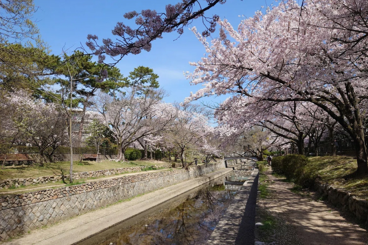 西宮市大谷町